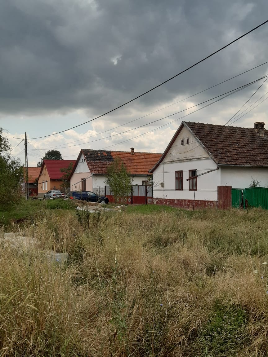 Häuser in Nitzkydorf