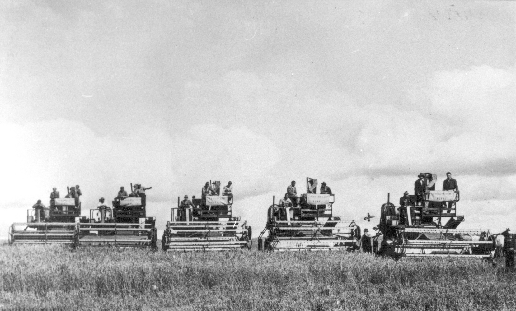 Die ersten fünf Dreschmaschinen im Jahre 1955.<br/><br/>As primeiras cinco colheitadeiras, em 1955.<br/>